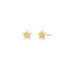 Pendientes Marea Flor Oro