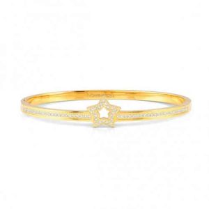 Pretty bangles estrella oro