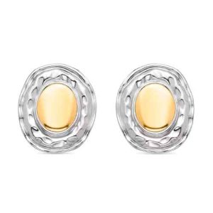Pendientes Luxenter Oro Plata